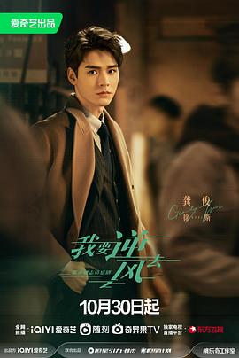 分类网站排名优化软件